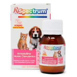 RX Spectrum